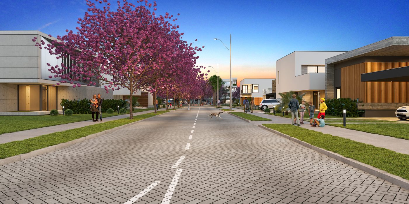 Rua residencial com casas de dois pavimentos e ipês floridos